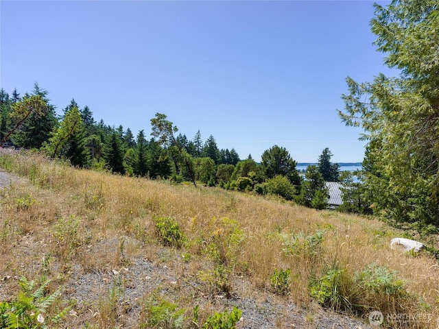 295 Rum Runner Rd, Lopez Island, WA 98261 - photo 26