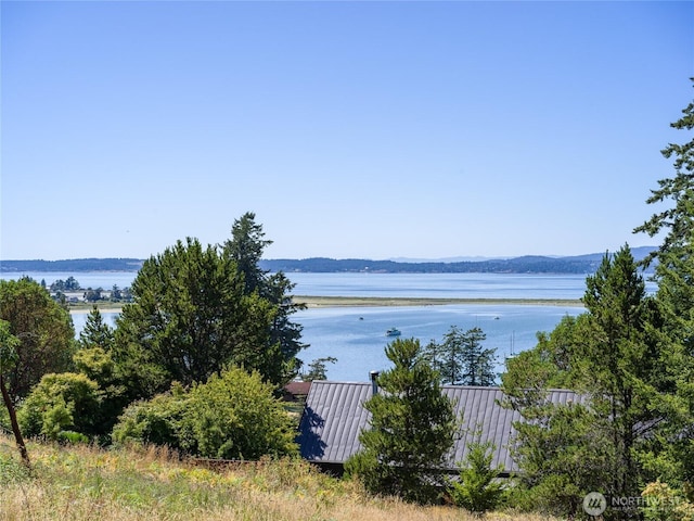 295 Rum Runner Rd, Lopez Island, WA 98261 - photo 28