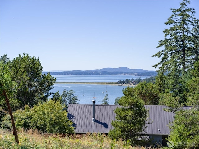 295 Rum Runner Rd, Lopez Island, WA 98261 - photo 29
