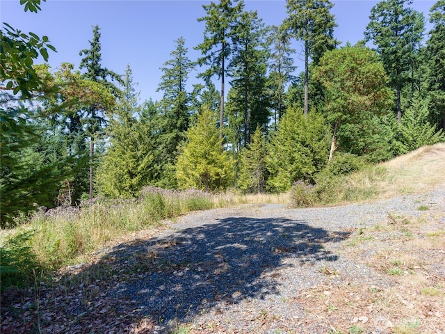 295 Rum Runner Rd, Lopez Island, WA 98261 - photo 30