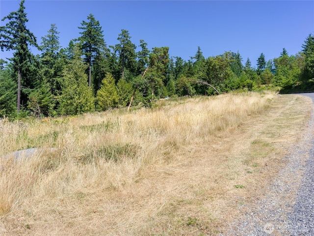 295 Rum Runner Rd, Lopez Island, WA 98261 - photo 31