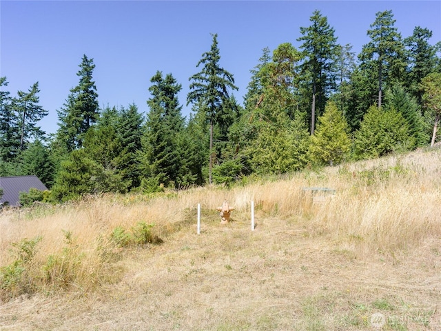 295 Rum Runner Rd, Lopez Island, WA 98261 - photo 32