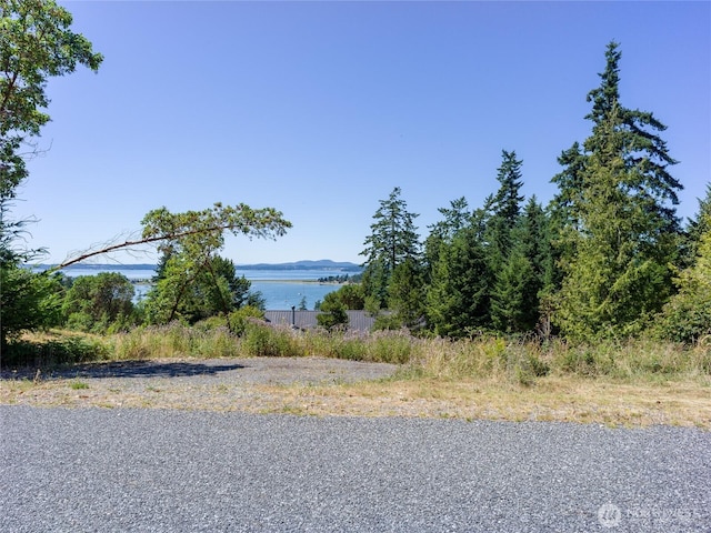 295 Rum Runner Rd, Lopez Island, WA 98261 - photo 33