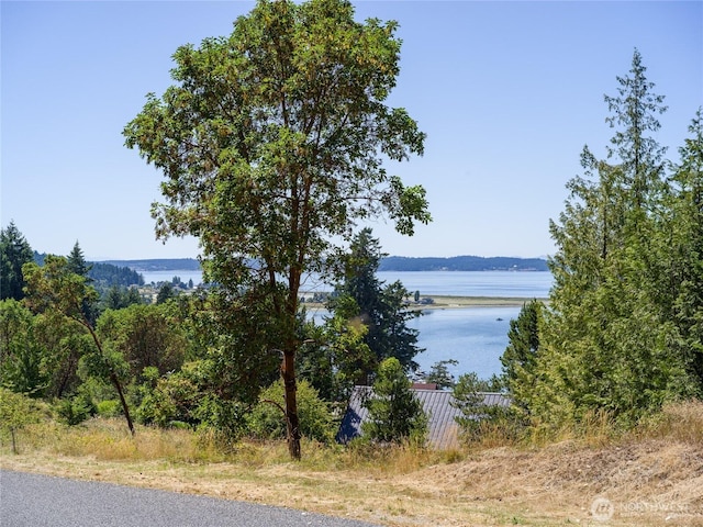 295 Rum Runner Rd, Lopez Island, WA 98261 - photo 34