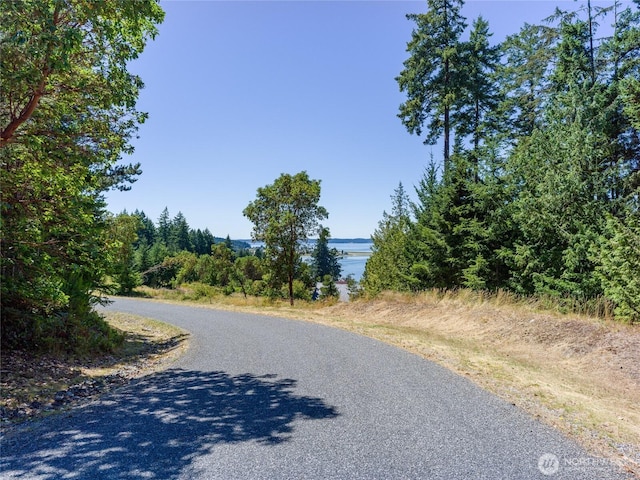 295 Rum Runner Rd, Lopez Island, WA 98261 - photo 35