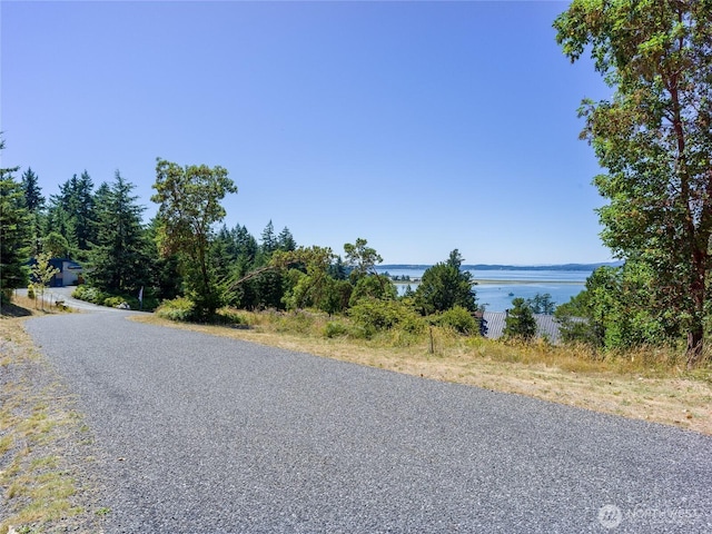 295 Rum Runner Rd, Lopez Island, WA 98261 - photo 36
