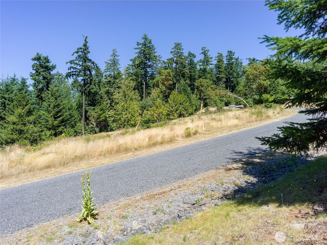 295 Rum Runner Rd, Lopez Island, WA 98261 - photo 37