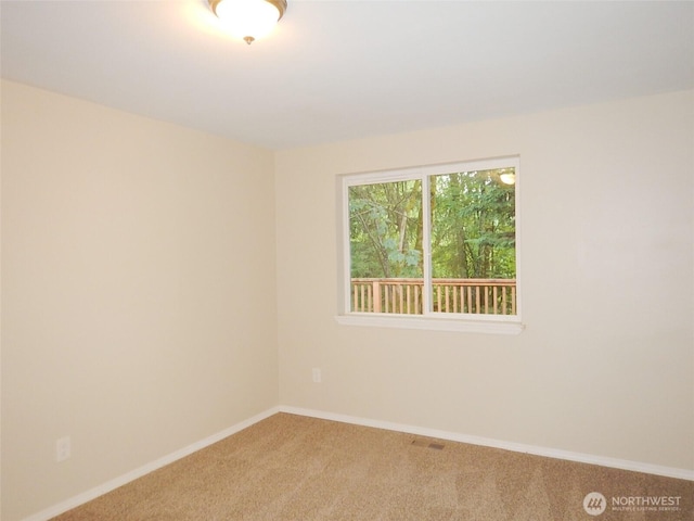 19022 Crown Ridge Blvd, Arlington, WA 98223 - photo 19