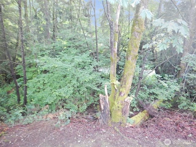 19022 Crown Ridge Blvd, Arlington, WA 98223 - photo 30