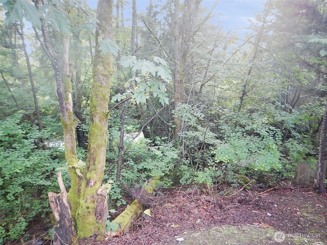 19022 Crown Ridge Blvd, Arlington, WA 98223 - photo 31