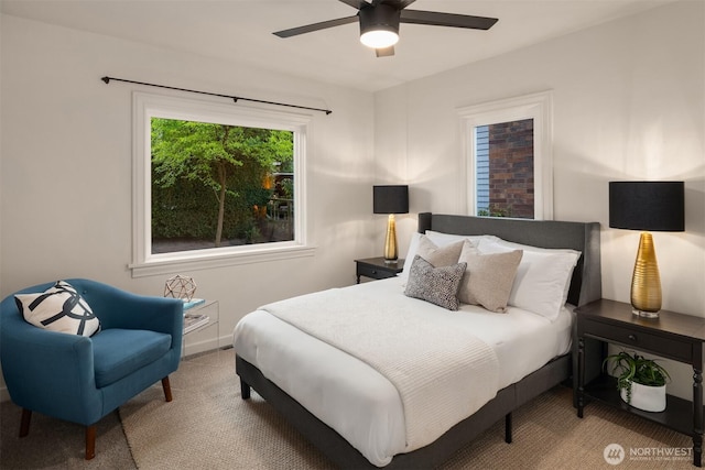8512 19th Ave NW, Seattle, WA 98117 - photo 11