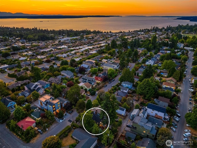 8512 19th Ave NW, Seattle, WA 98117 - photo 29