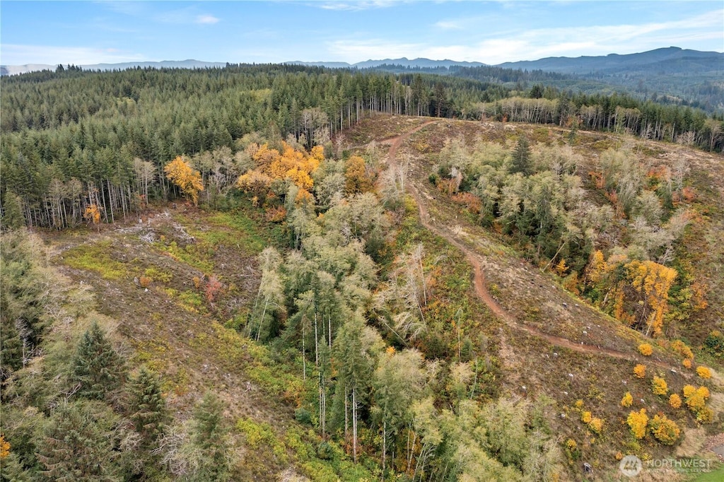 1851 Bloomhardt Rd, Raymond, WA 98577 - photo 4