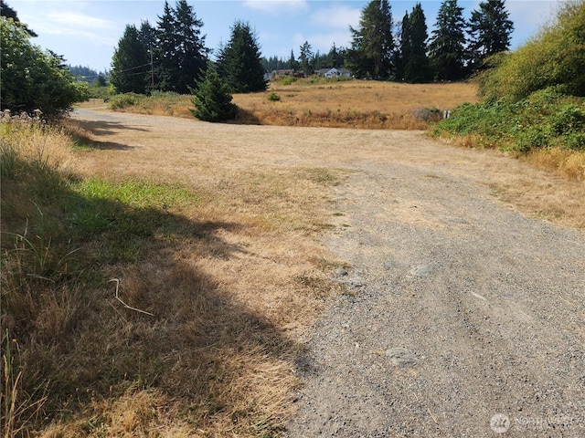 539 Birch St, Oak Harbor, WA 98277 - photo 36
