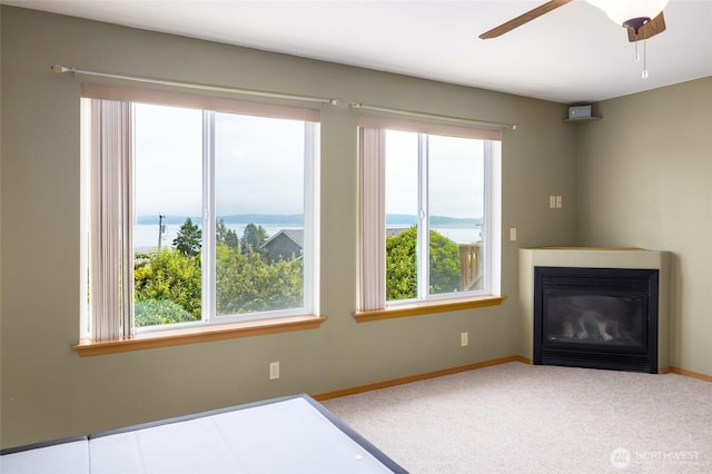 539 Birch St, Oak Harbor, WA 98277 - photo 16
