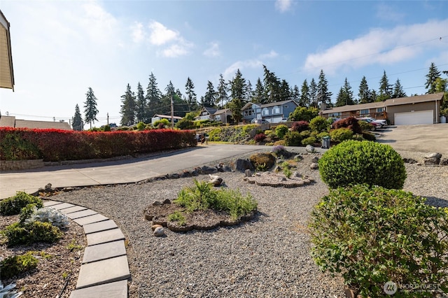 539 Birch St, Oak Harbor, WA 98277 - photo 27