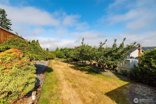 539 Birch St, Oak Harbor, WA 98277 - photo 31