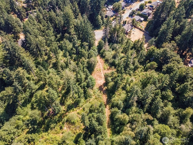 9601 137th St NW, Gig Harbor, WA 98329 - photo 6