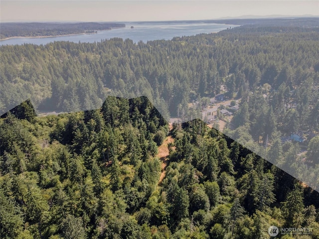 9601 137th St NW, Gig Harbor, WA 98329 - photo 16