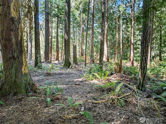 14925 Olympic View Loop Rd NW, Silverdale, WA 98383 - photo 12