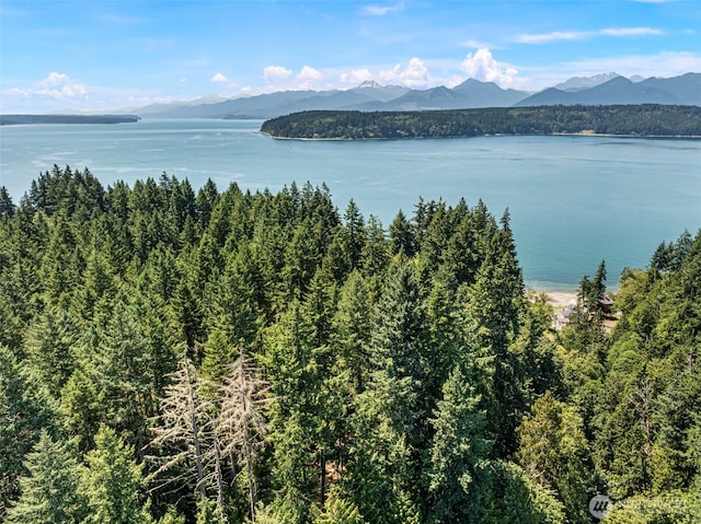 14925 Olympic View Loop Rd NW, Silverdale, WA 98383 - photo 14
