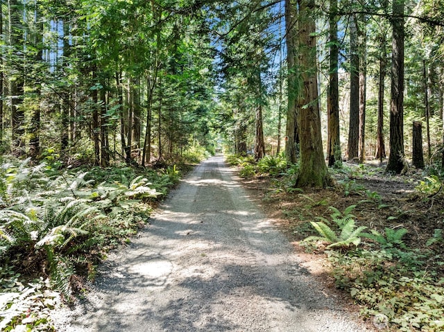 14925 Olympic View Loop Rd NW, Silverdale, WA 98383 - photo 10