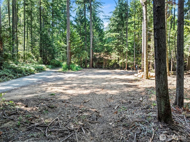 14925 Olympic View Loop Rd NW, Silverdale, WA 98383 - photo 3