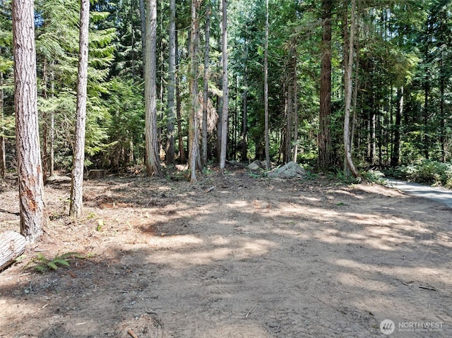 14925 Olympic View Loop Rd NW, Silverdale, WA 98383 - photo 7