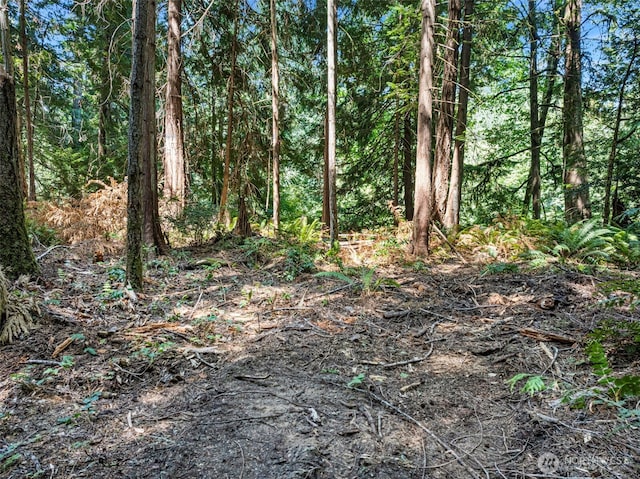 14925 Olympic View Loop Rd NW, Silverdale, WA 98383 - photo 13