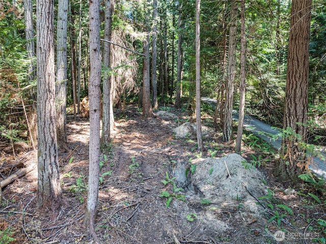 14925 Olympic View Loop Rd NW, Silverdale, WA 98383 - photo 8