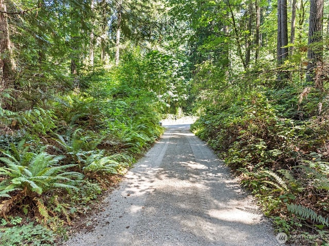 14925 Olympic View Loop Rd NW, Silverdale, WA 98383 - photo 9