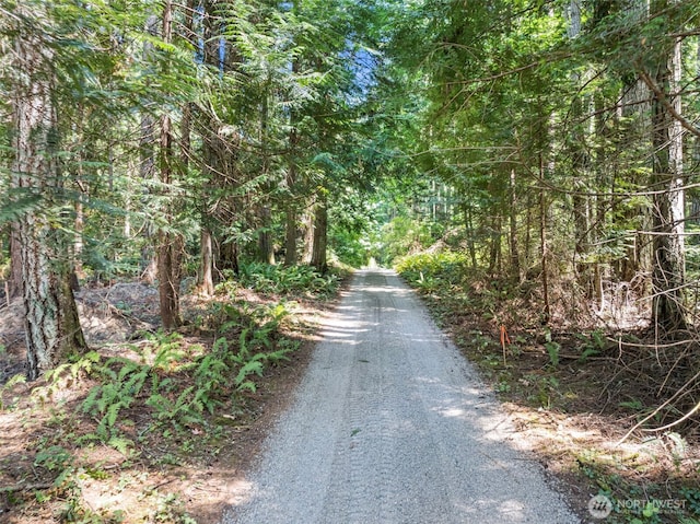 14925 Olympic View Loop Rd NW, Silverdale, WA 98383 - photo 11