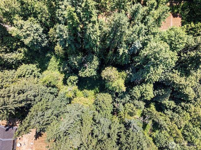 14925 Olympic View Loop Rd NW, Silverdale, WA 98383 - photo 15