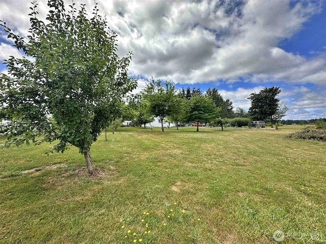 119 Brim, Onalaska, WA 98570 - photo 3