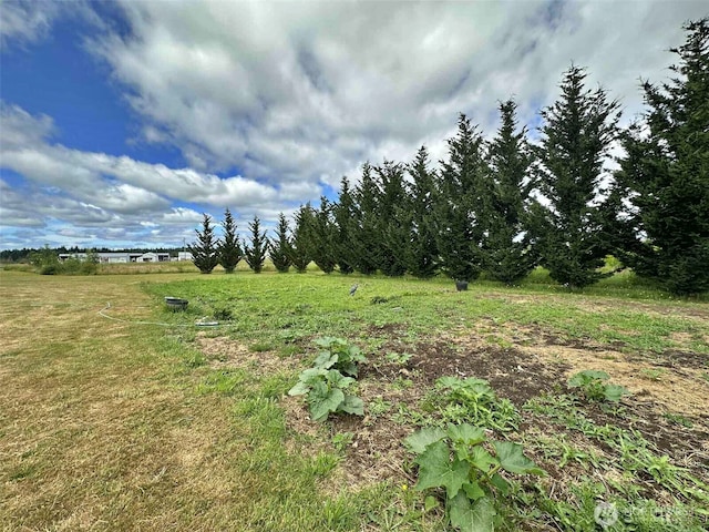 119 Brim, Onalaska, WA 98570 - photo 5