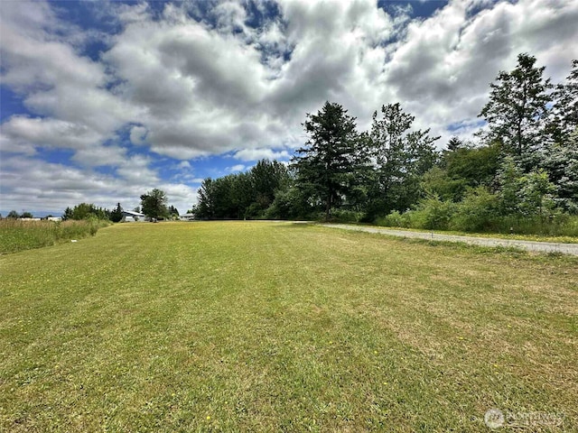 119 Brim, Onalaska, WA 98570 - photo 7
