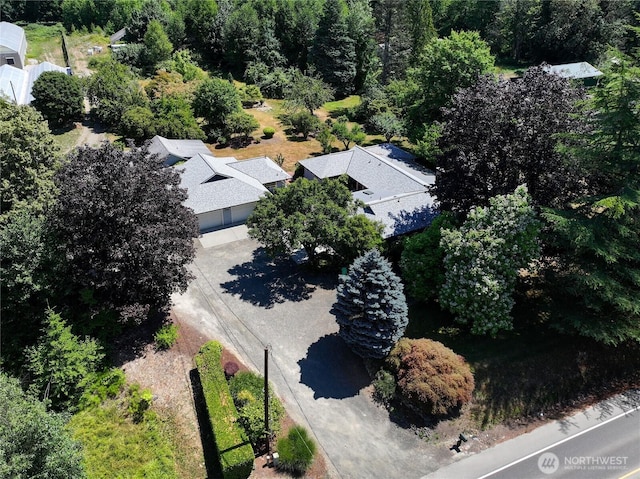 792 NE Old Belfair Hwy, Belfair, WA 98528 - photo 39
