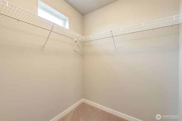16021 Manor Way Unit B-3, Lynnwood, WA 98087 - photo 21