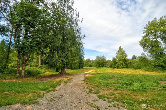 273 Jorgensen Rd, Onalaska, WA 98570 - photo 14