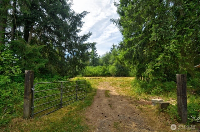 273 Jorgensen Rd, Onalaska, WA 98570 - photo 20