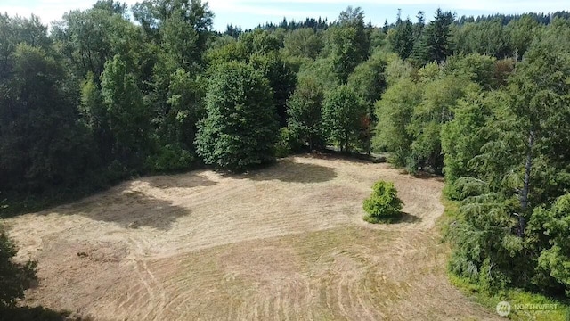 273 Jorgensen Rd, Onalaska, WA 98570 - photo 27