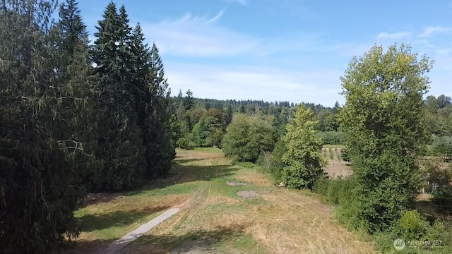 273 Jorgensen Rd, Onalaska, WA 98570 - photo 29