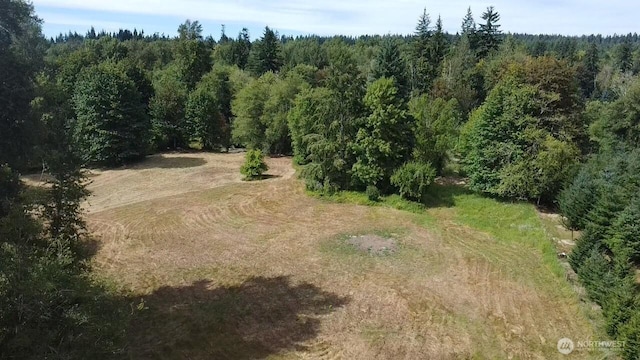 273 Jorgensen Rd, Onalaska, WA 98570 - photo 34