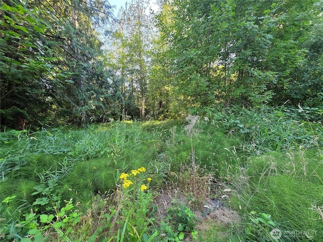 151 E Lakeshore Dr E, Shelton, WA 98584 - photo 1