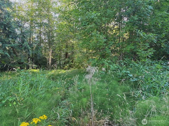 151 E Lakeshore Dr E, Shelton, WA 98584 - photo 2