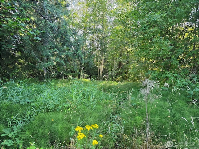 151 E Lakeshore Dr E, Shelton, WA 98584 - photo 3