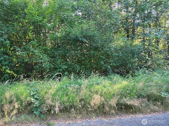 151 E Lakeshore Dr E, Shelton, WA 98584 - photo 5