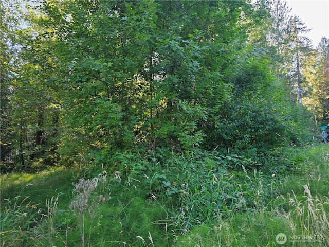 151 E Lakeshore Dr E, Shelton, WA 98584 - photo 6