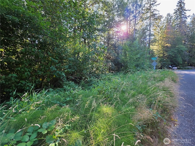 151 E Lakeshore Dr E, Shelton, WA 98584 - photo 7