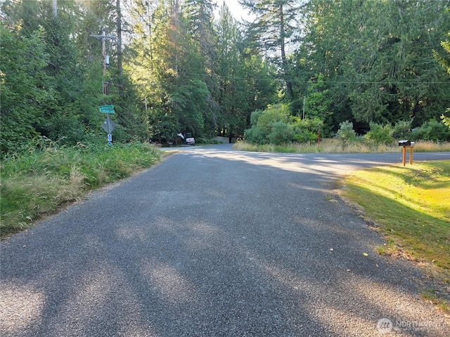 151 E Lakeshore Dr E, Shelton, WA 98584 - photo 8